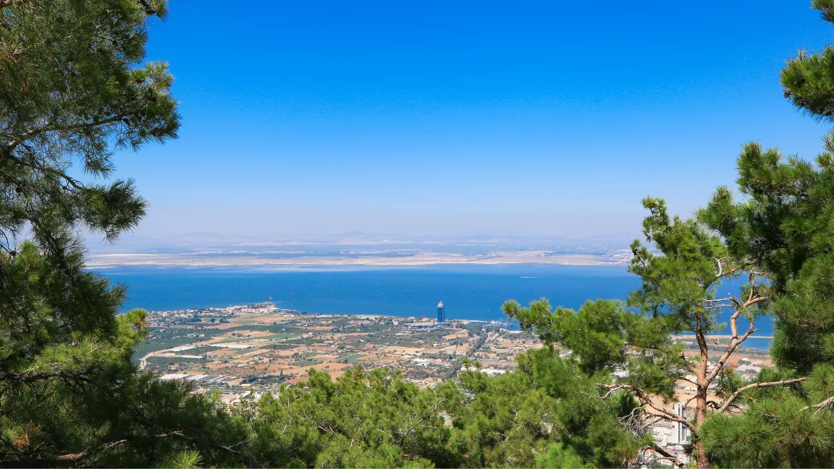 ARSA, ARAZİ, TARLA ALAN KAZANDI!