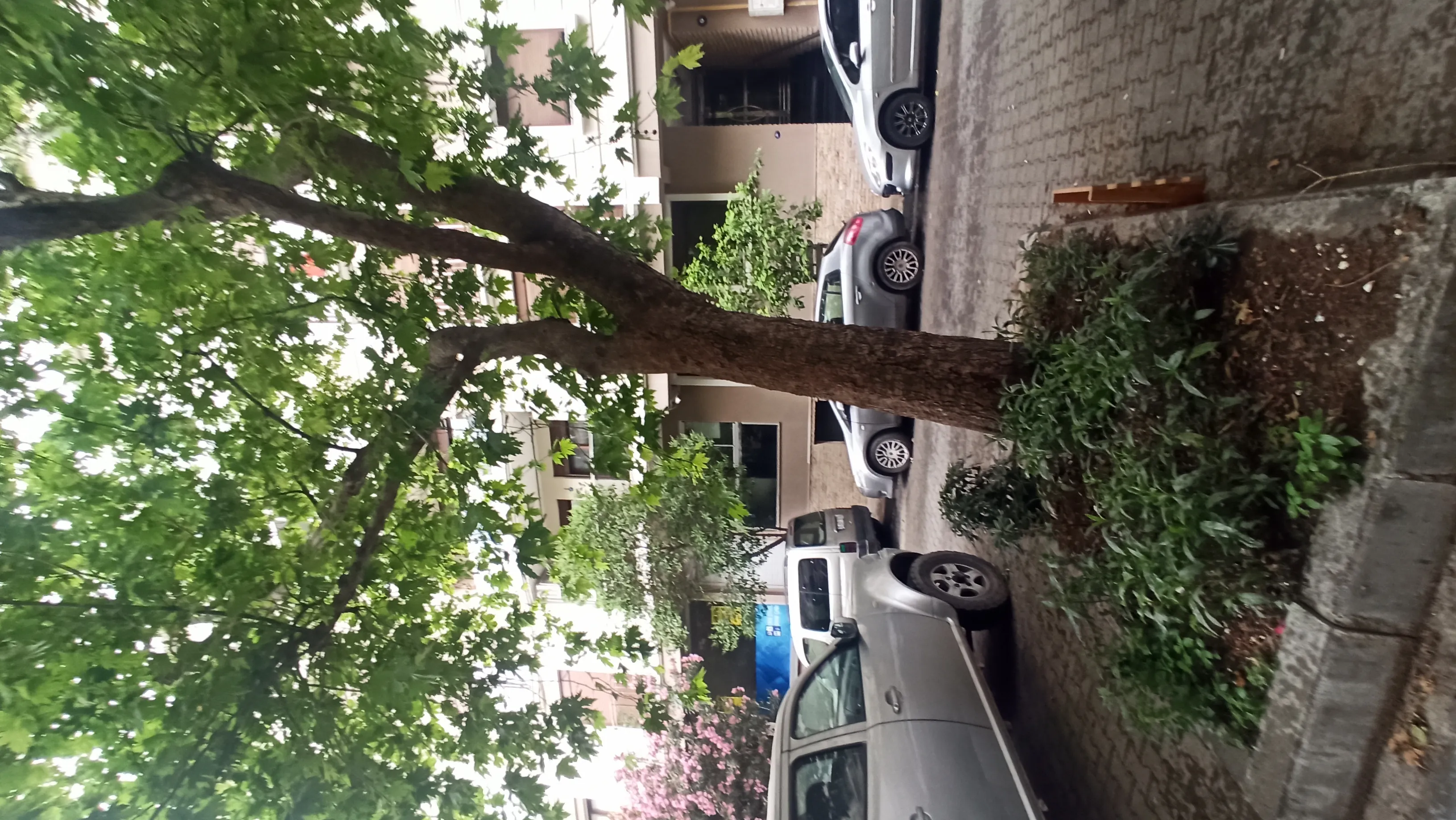 KARŞIYAKA ALAYBEY'DE4+1 ASANSÖRLÜ 2. KAT 150M2 DAİRE