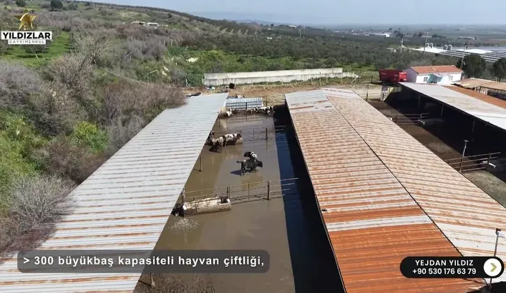 Bergama'da SATILIK Emsalsiz Çiftlik