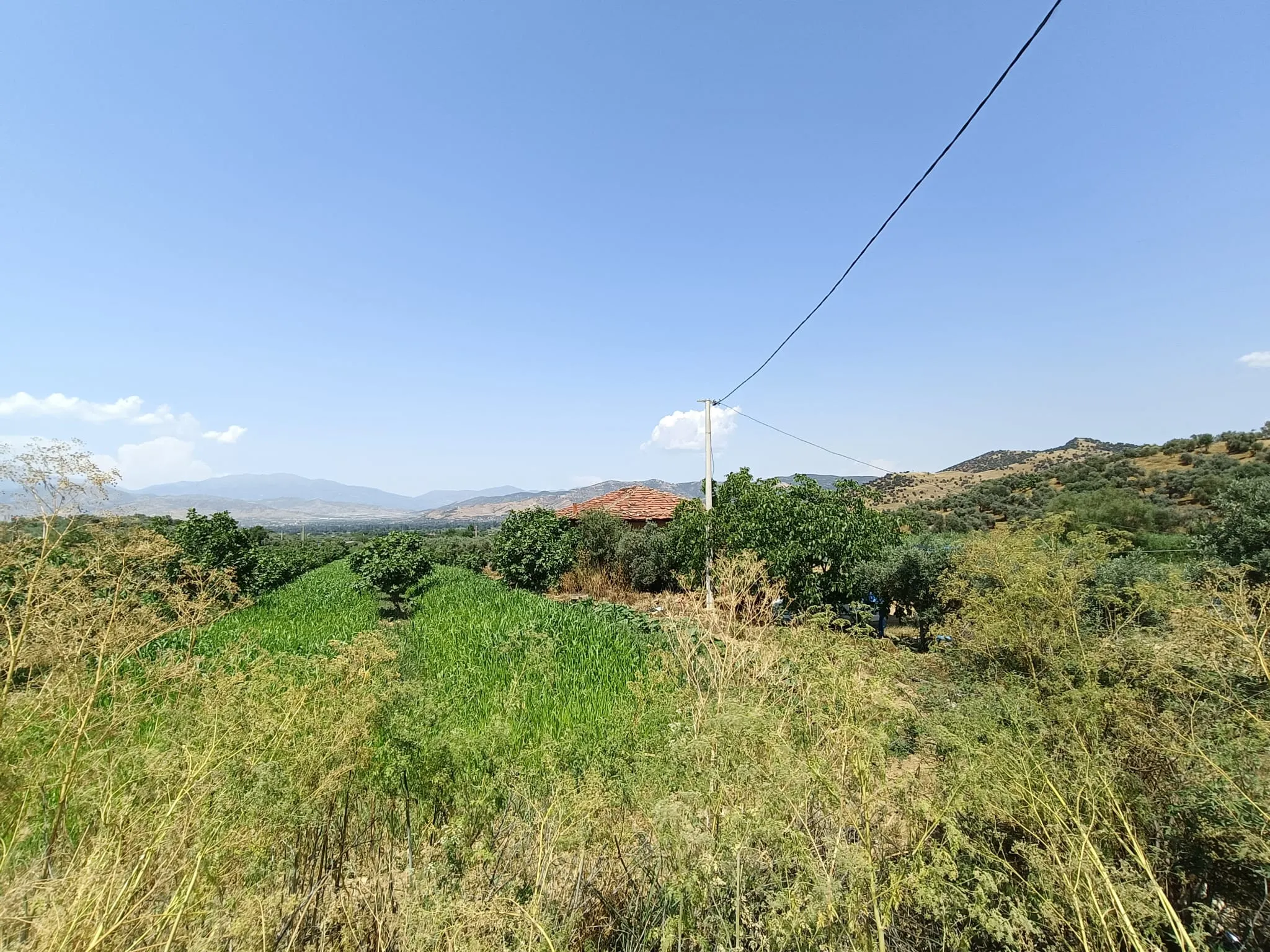 Ödemiş Emirli Köyiçi Tarla Ve İki Katlı Ev