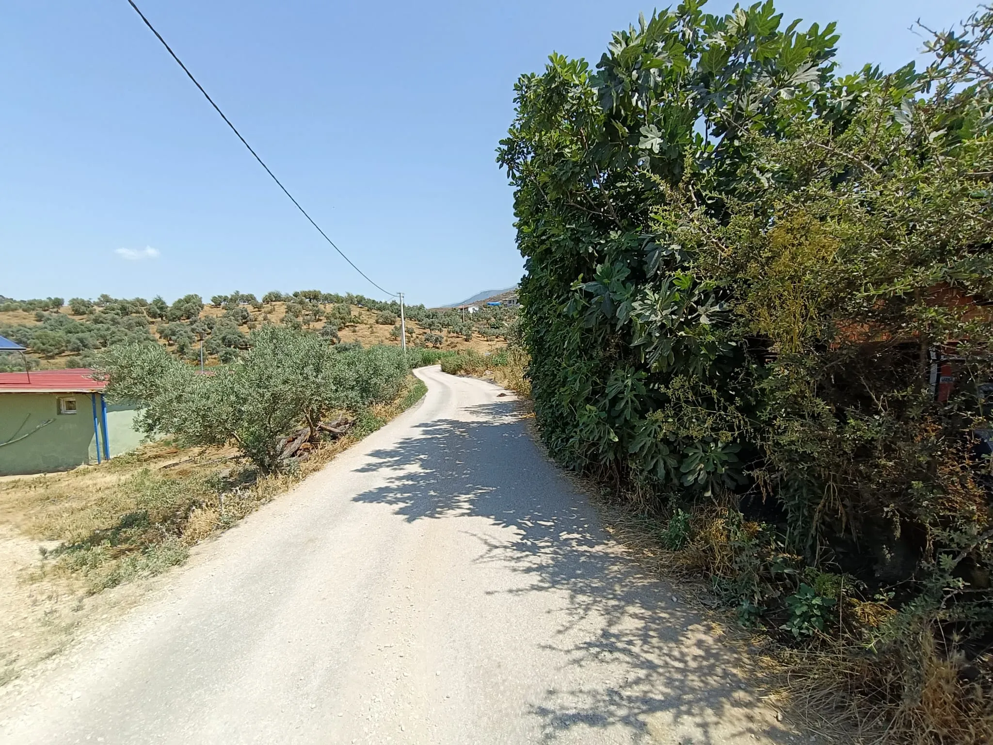 Ödemiş Emirli Köyiçi Tarla ve İki Katlı Ev