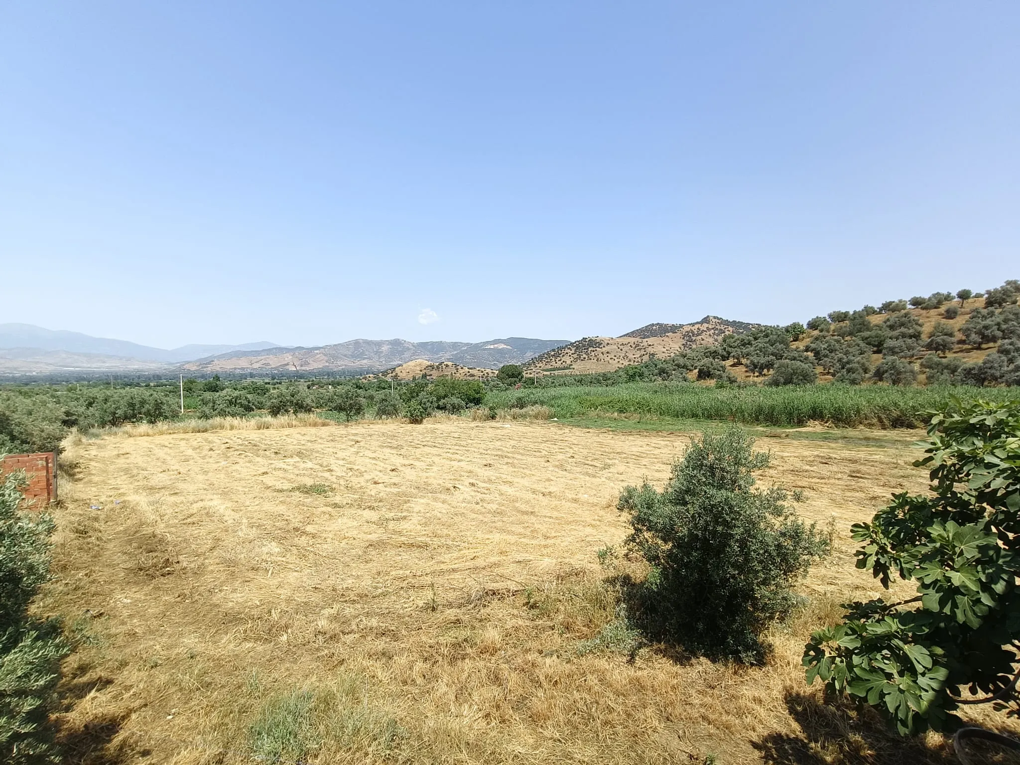 Ödemiş Emirli Köyiçi Tarla ve İki Katlı Ev