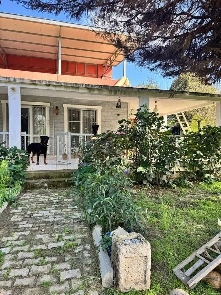 Hem Yaşam Hem Yatırım için Eşsiz Bir Fırsat: 7 Dönüm Ceviz Bahçesi