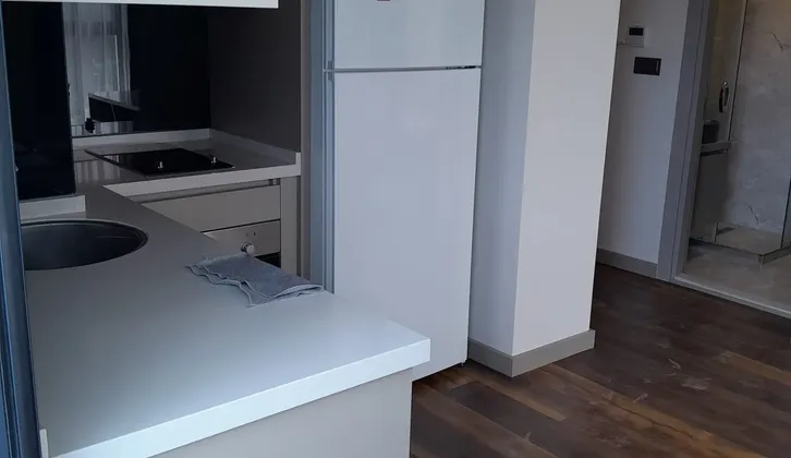bornovada kiralık daire bir atı bir eşyalı