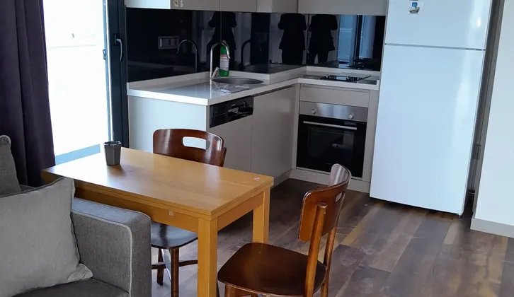 bornovada kiralık daire bir atı bir eşyalı