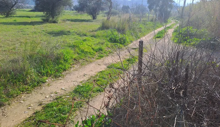 Özusta Gayrimenkul'den Kemalpaşa'da Köye 400 m Yola & Dereye Cephesi Olan Suyu - Elektriği Hazır Yer