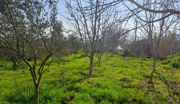 Özusta Gayrimenkul'den Kemalpaşa'da Köye 400 m Yola & Dereye Cephesi Olan Suyu - Elektriği Hazır Yer