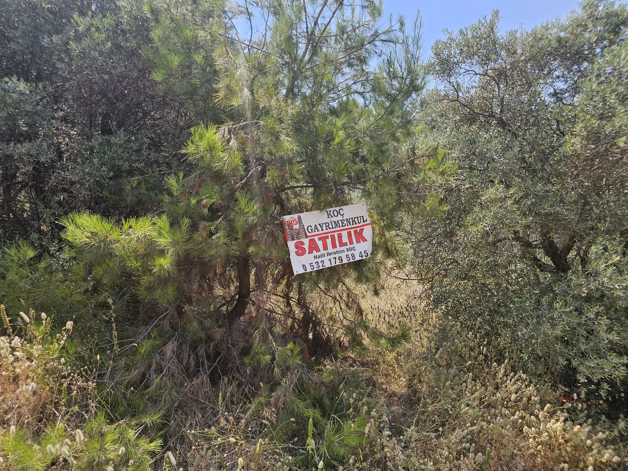 İzmir Kemalpaşa Armutlu Hürriyet Mahallesi'nde 700 m² Satılık İmarlı Arsa