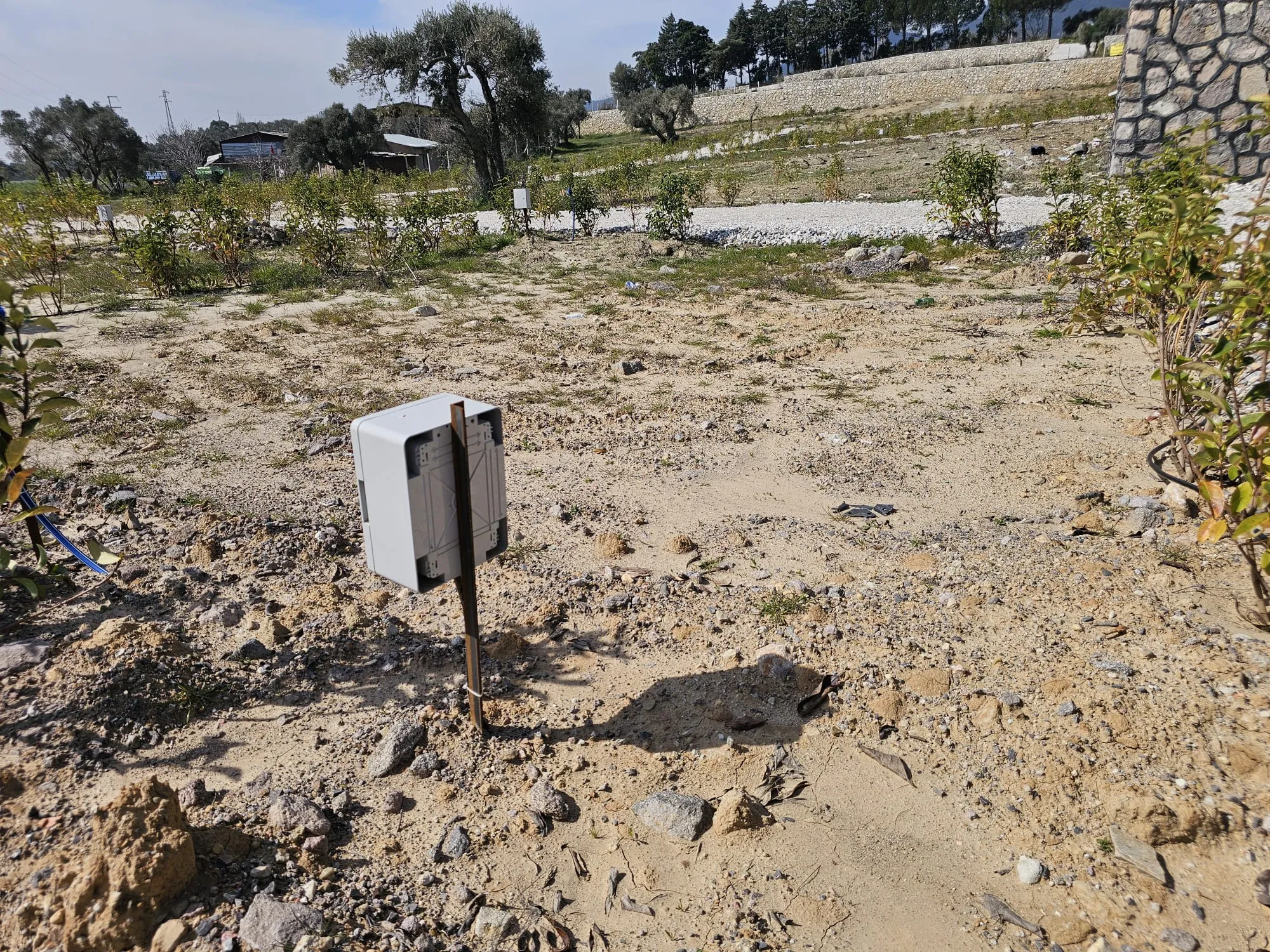 İzmir Kemalpaşa Vişneli'de Satılık Köşe Parsel Bahçe
