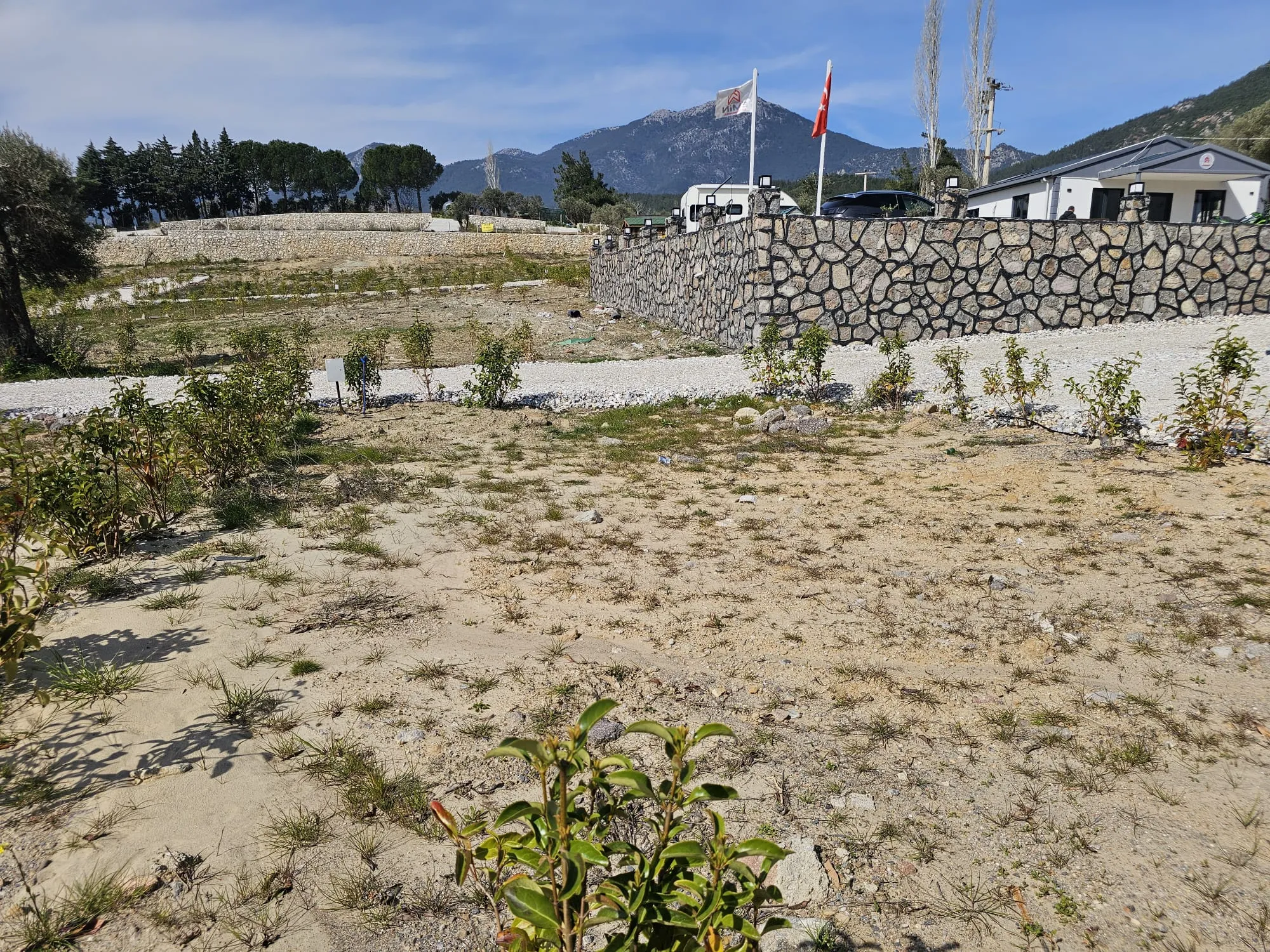 İzmir Kemalpaşa Vişneli'de Satılık Köşe Parsel Bahçe