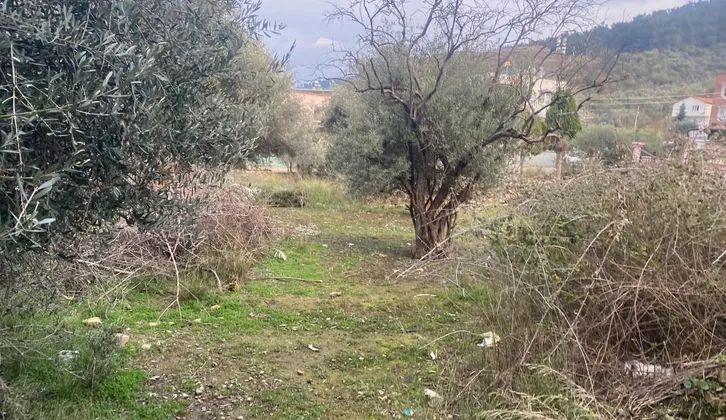 İzmir Kemalpaşa Ören Egemen Mahallesi'nde 275 m² Satılık İmarlı Arsa