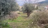 İlan Görseli