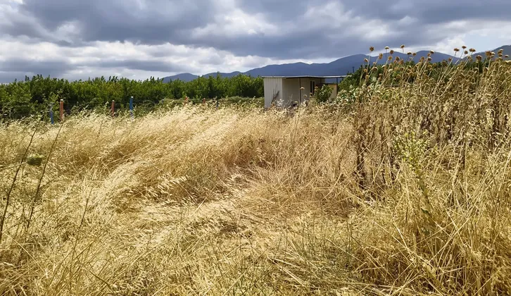 İzmir Kemalpaşa Ören 75. Yıl Cumhuriyet Mahallesi'nde 300 m² Yatırım Arsa