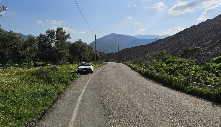 Kemalpaşa Yiğitler Mahallesi'nde Yatırım Fırsatı: 2.500 m² Zeytin Bahçesi