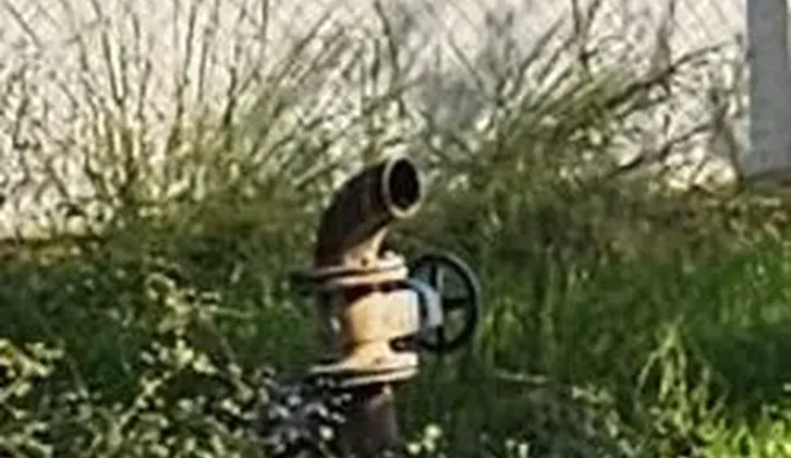 Kemalpaşa Yiğitler Mahallesi'nde Yatırım Fırsatı: 2.500 m² Zeytin Bahçesi