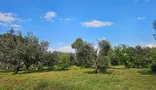 İlan Görseli