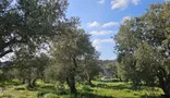 İlan Görseli