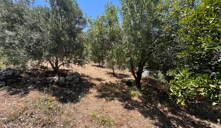 Marmaris Söğütte denize sıfır yapı kayıtlı 2 daireli