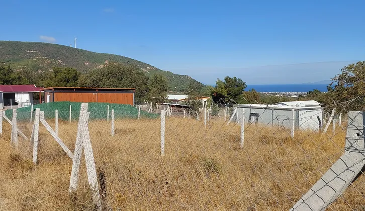 Foça Kozbeylide Acil Satılık Full Deniz Manzaralı 185 M² Bahçe