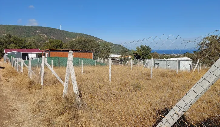 Foça Kozbeylide Acil Satılık Full Deniz Manzaralı 185 M² Bahçe