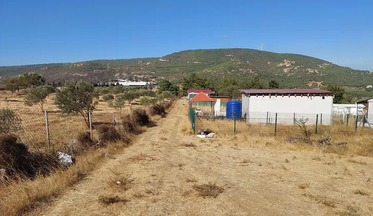 Foça Kozbeylide Acil Satılık Full Deniz Manzaralı 185 M² Bahçe