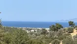 İlan Görseli