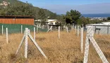 İlan Görseli