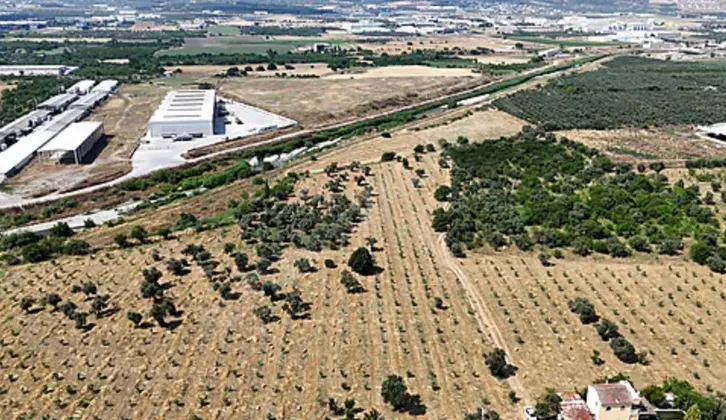PEAK GAYRİMENKUL 'DEN İZMİR KEMALPAŞA ÖRNEKKÖY'DE KURUMSAL FİRMALARA KİRALIK 42 DÖNÜM TARIMSAL ARAZİ