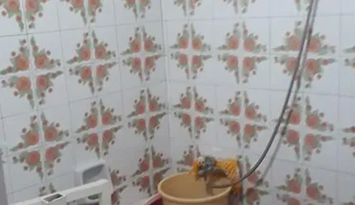 hatay nokta cadde sahil yakını yatırımlık daire
