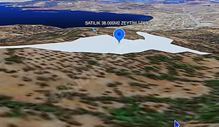 Y.foça'da satılık DENİZ VE DOĞA İLE İÇ İÇE 37.644M²ZeytinliTarla