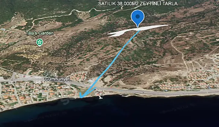 Y.foça'da satılık DENİZ VE DOĞA İLE İÇ İÇE 37.644M²ZeytinliTarla