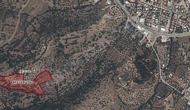 Y.foça'da satılık DENİZ VE DOĞA İLE İÇ İÇE 37.644M²ZeytinliTarla
